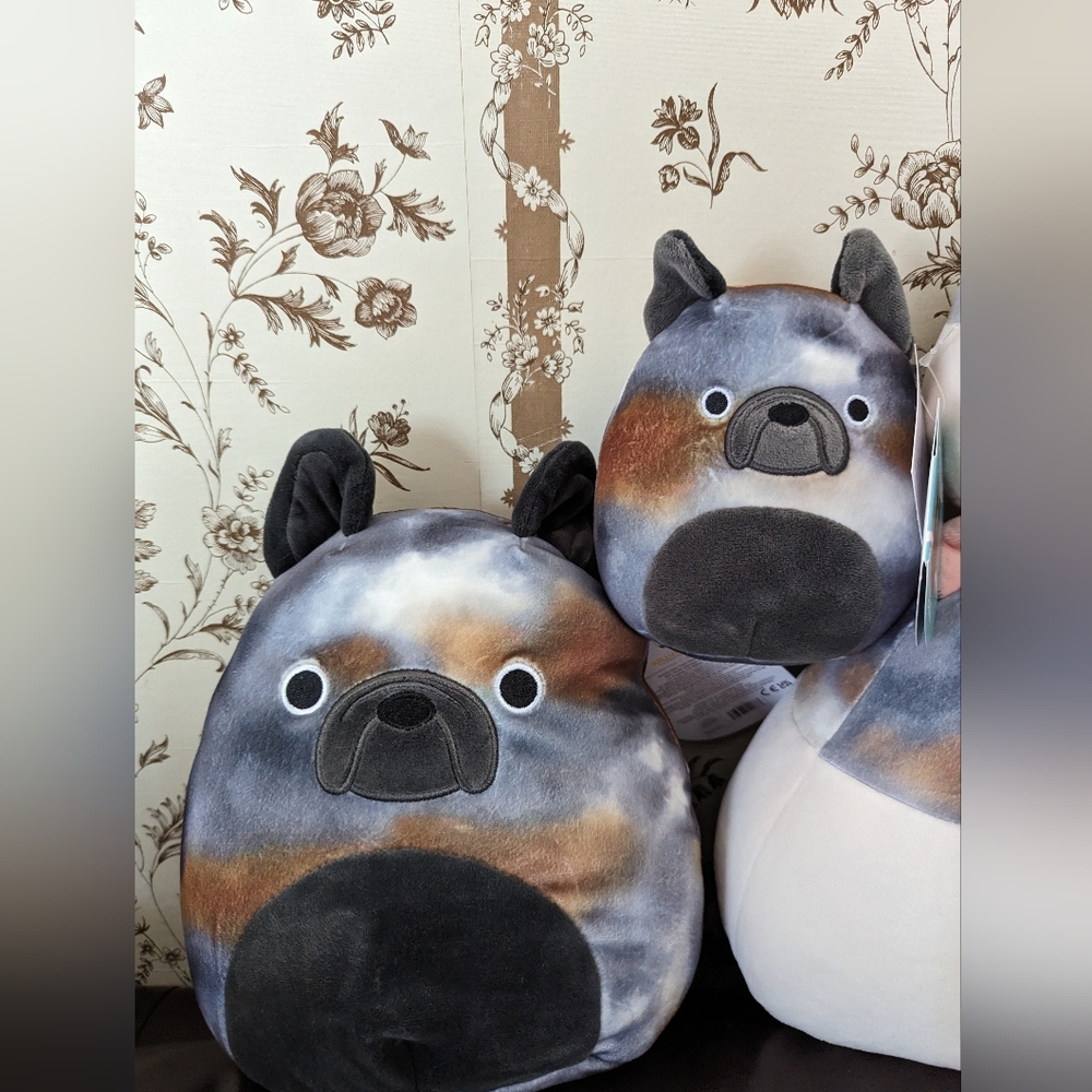 2 Ballis squishmallows